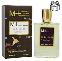 Molecule 01 + Patchouli Escentric | Extrait de Parfum 100 ml