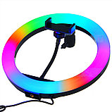 Кольцевая лампа светодиодная RGB 26 см MJ26, фото 2