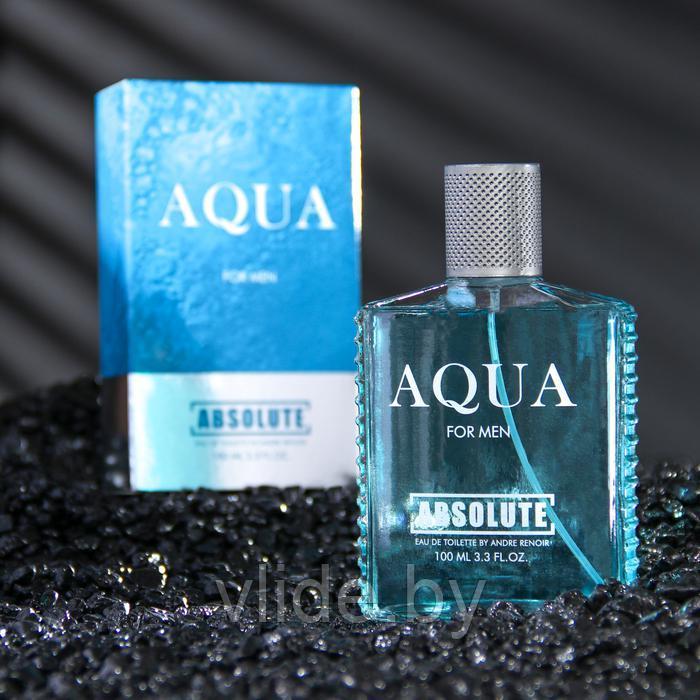 Туалетная вода мужская Absolute Aqua, 100 мл