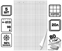 Блокнот для флипчарта Brauberg 67,5х98 см., 20 листов, клетка, арт.128645
