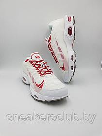 Кроссовки мужские Nike Air Max Terrascape Plus