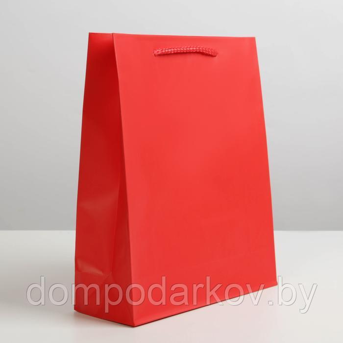 Пакет ламинированный «Красный», ML 21 х 25 х 8 см - фото 2 - id-p224916391