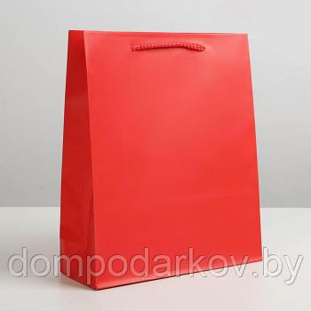 Пакет ламинированный «Красный», ML 21 х 25 х 8 см