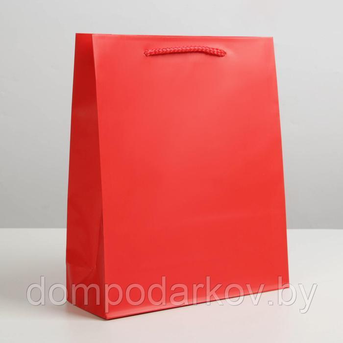 Пакет ламинированный «Красный», ML 21 х 25 х 8 см - фото 1 - id-p224916391