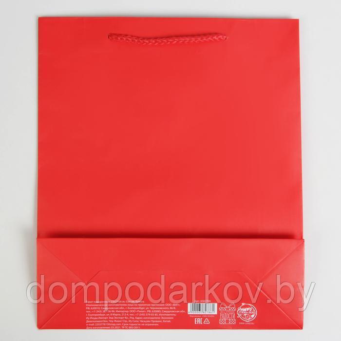 Пакет ламинированный «Красный», ML 21 х 25 х 8 см - фото 4 - id-p224916391