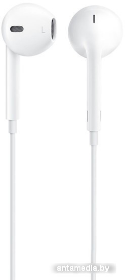 Наушники Apple EarPods with Remote and Mic (MD827) - фото 1 - id-p224924073