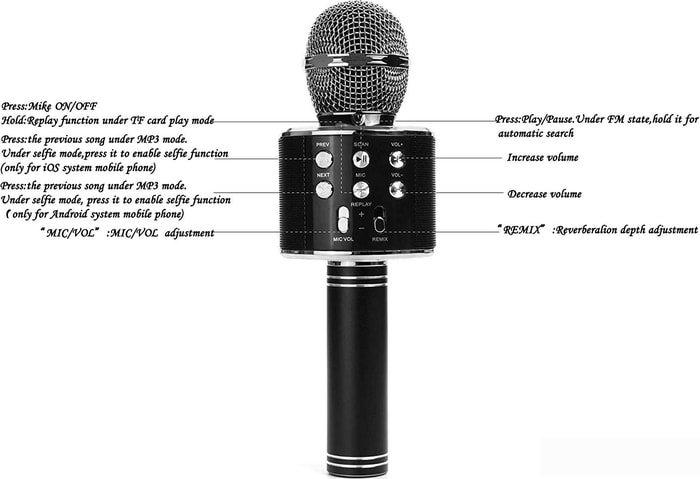 Микрофон Wster WS-858 (черный) - фото 2 - id-p224924159