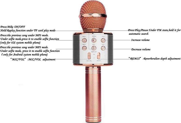 Микрофон Wster WS-858 (розовый) - фото 2 - id-p224924160