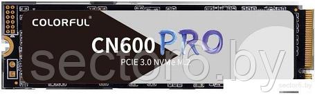 SSD Colorful CN600 Pro 256GB, фото 2