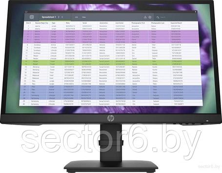 Монитор HP P22 G4, фото 2