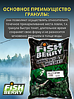 FishBerry Пеллетс карповый (бетаин, цв. -зеленый) 14мм - 1 кг, фото 3