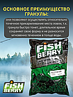 FishBerry Пеллетс карповый (бетаин, цв. -зеленый) 10мм - 1 кг, фото 3