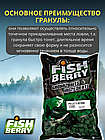 FishBerry Пеллетс карповый (бетаин, цв. -зеленый) 12мм - 1 кг, фото 3