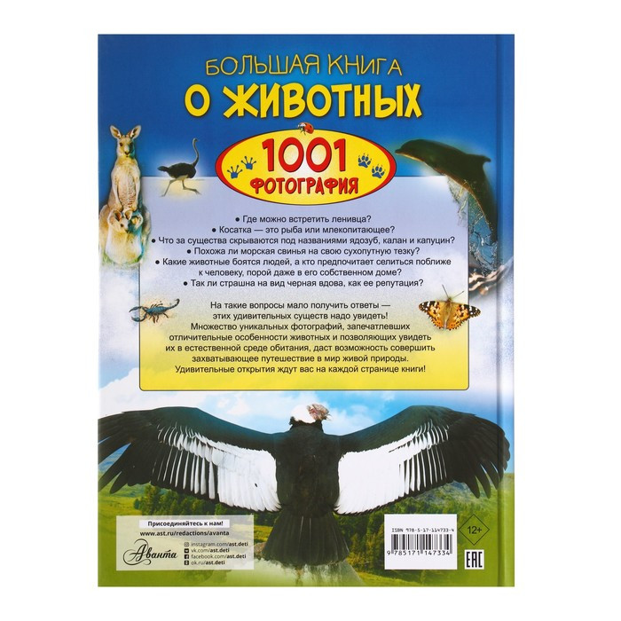 Большая книга о животных. 1001 фотография. Ермакович Д. И. - фото 8 - id-p224952556