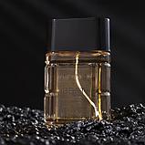 Туалетная вода мужская Platinum Best, 100 мл (по мотивам Egoiste Platinum (Chanel), фото 5