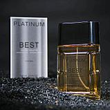 Туалетная вода мужская Platinum Best, 100 мл (по мотивам Egoiste Platinum (Chanel), фото 4