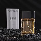 Туалетная вода мужская Platinum Best, 100 мл (по мотивам Egoiste Platinum (Chanel), фото 3