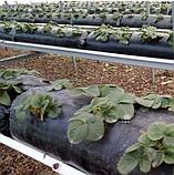 Мешки для выращивания клубники черные 120см*30см 60мкм, фото 6