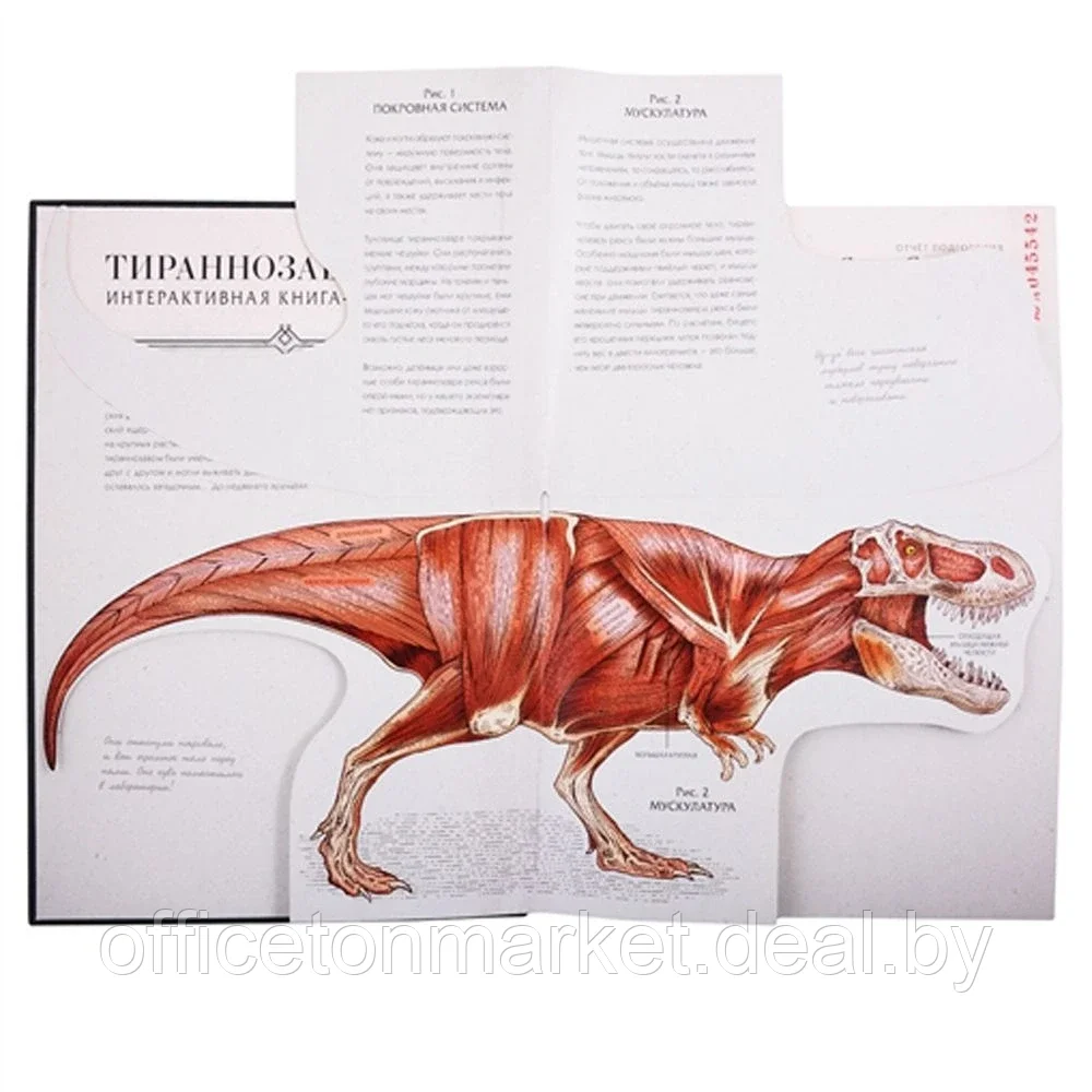 Книга "Тираннозавр рекс", Диксон Д., -30% - фото 3 - id-p180075963