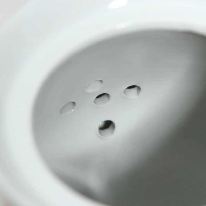 Набор чайный керамический на металлической подставке Доляна «Садовый дворик», 13 предметов: 6 чашек 200 мл, 6 - фото 6 - id-p224965448
