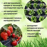 Пленка мульчирующая черная под клубнику 1,3м*100м 60мкм светостабилизированная, фото 2