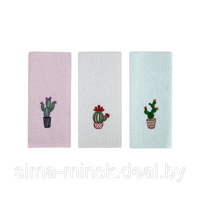 Комплект кухонных полотенец Cactus, размер 65x39 см, 2 шт в наборе - фото 2 - id-p224984294