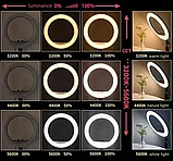 Кольцевая лампа 45 см LED RL-18 пульт ДУ, фото 7