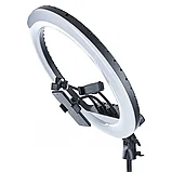 Кольцевая лампа 45 см LED RL-18 пульт ДУ, фото 2