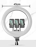 Кольцевая лампа 45 см LED RL-18 пульт ДУ, фото 8