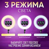 Кольцевая лампа 45 см LED RL-18 пульт ДУ, фото 6