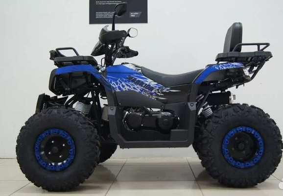 Квадроцикл ATV R-moto Lion Warrior 200 - фото 1 - id-p224985292