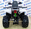 Квадроцикл Avantis Hunter 200 New LUX, фото 3
