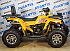 Квадроцикл Avantis Hunter 200 Big Premium (баланс. вал), фото 4