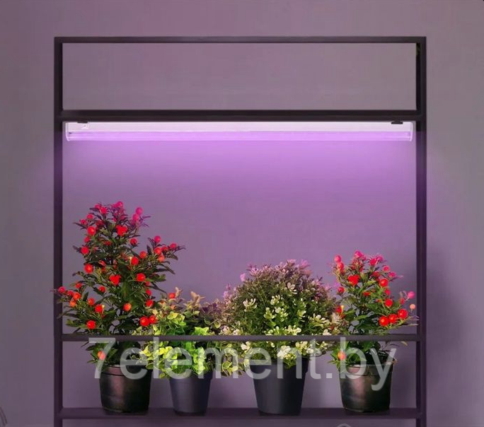 Светильник лампа для рассады домашний Фито красно-синего спектра фитолампа освещение для выращивания растений - фото 3 - id-p224985811