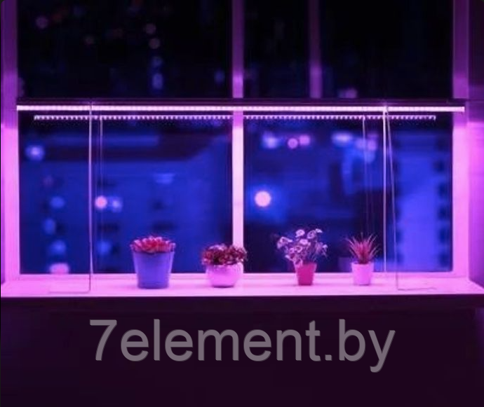 Светильник лампа для рассады домашний Фито красно-синего спектра фитолампа освещение для выращивания растений - фото 4 - id-p224985811