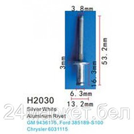 H2030( GM ) Forsage клипса Клипса для крепления внутренней обшивки а/м GM металлическая (100шт/уп.)