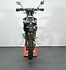 Avantis Enduro 250 CBS PRO Exclusive, фото 2