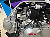 Питбайк Kayo Mini YX125em 12/14 (2023), фото 3