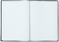 Книга учета «Союзбланкиздат» 200*290 мм, 96 л., клетка, синяя