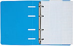 Тетрадь общая А5, 80 л. на кольцах Silwerhof 160*215 мм, клетка, голубая
