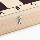 Шахматы гроссмейстерские, турнирные, утяжелённые, 40х40 см, король h=10.5 см, пешка 5.3 см, фото 5