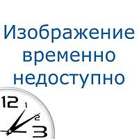 Bort Измельчитель пищевых отходов MASTER ECO CONTROL {390 Вт; 3,3 кг/мин; 3500 об/мин; 1050 мл; Металл ; набор