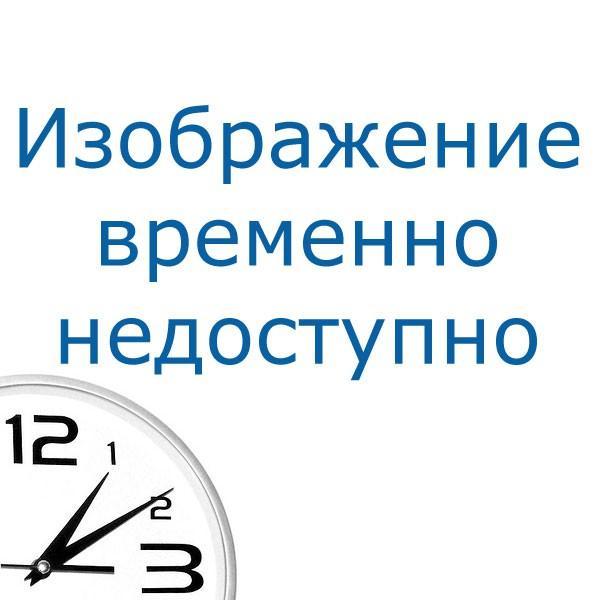 Bort Измельчитель пищевых отходов MASTER ECO CONTROL {390 Вт; 3,3 кг/мин; 3500 об/мин; 1050 мл; Металл ; набор - фото 1 - id-p225004791