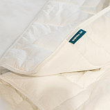 Одеяло зимнее Comfort, фото 3