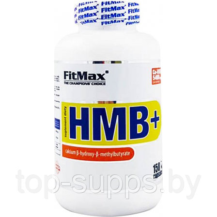 FitMax 1mwzbiLpi8CkCLFhy2n933, фото 2