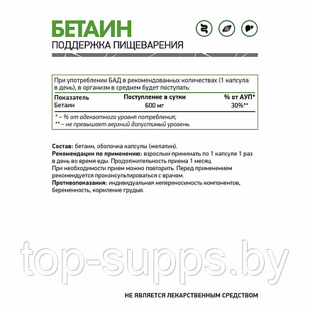 NaturalSupp AqoTMIq-jPqUW1FtsKDFb1, фото 2
