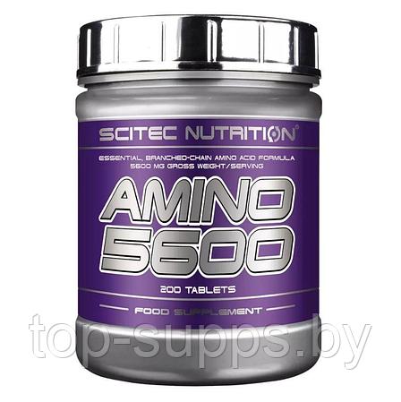 Scitec Nutrition 0bTGcnY-jzubnxUROOYZ61, фото 2