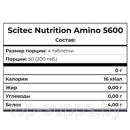 Scitec Nutrition 0bTGcnY-jzubnxUROOYZ61, фото 2