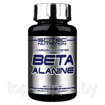 Scitec Nutrition dlTjKcTPhC1jZNKqd-hkZ0, фото 2