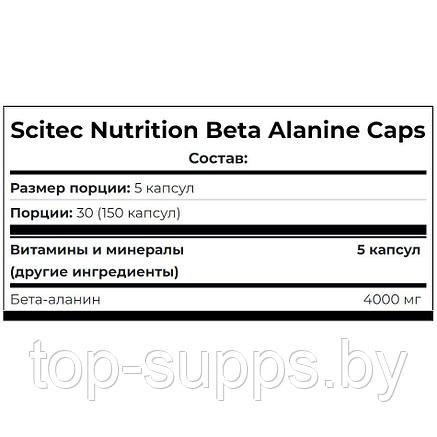Scitec Nutrition dlTjKcTPhC1jZNKqd-hkZ0, фото 2